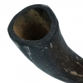 Bild 3 von Viking Whole Horn